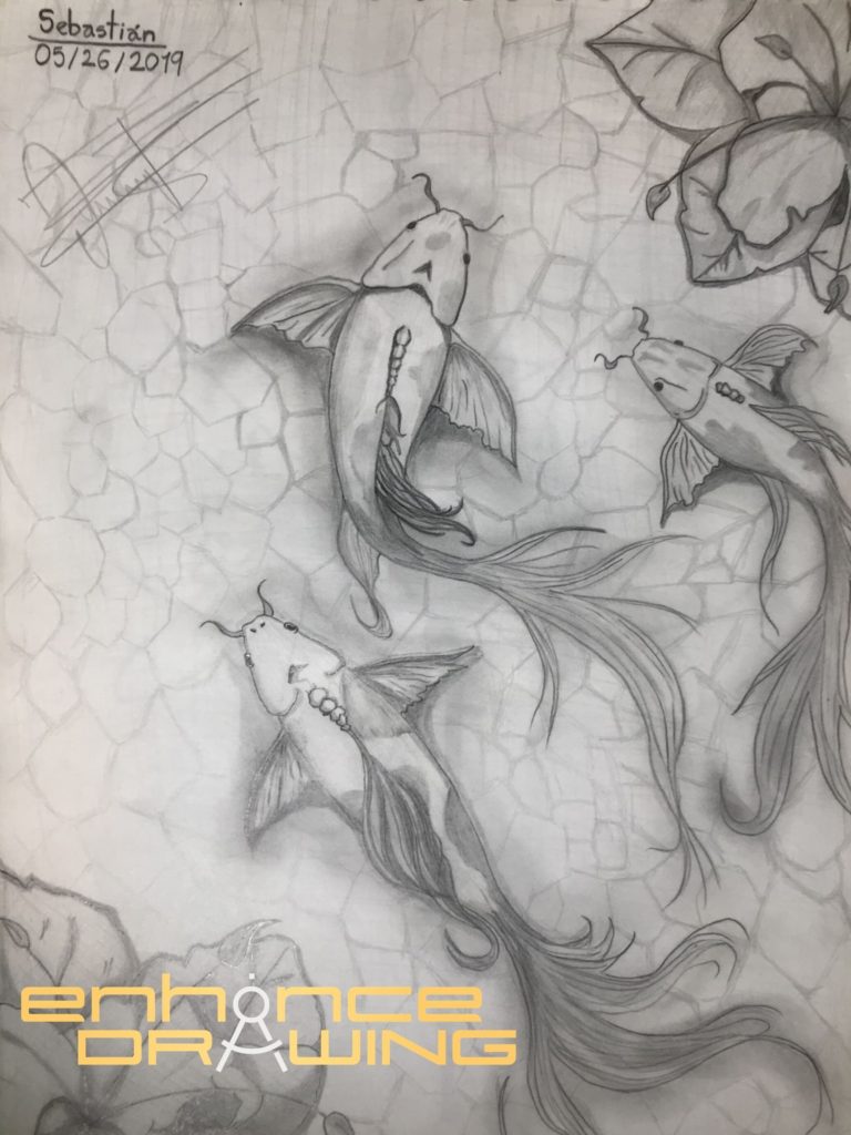 Koi Fishes Drawing On Pencil