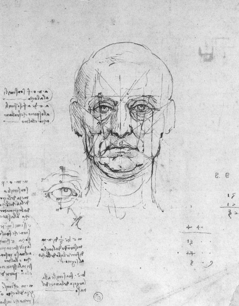 Reference drawing from Leonardo da Vinci