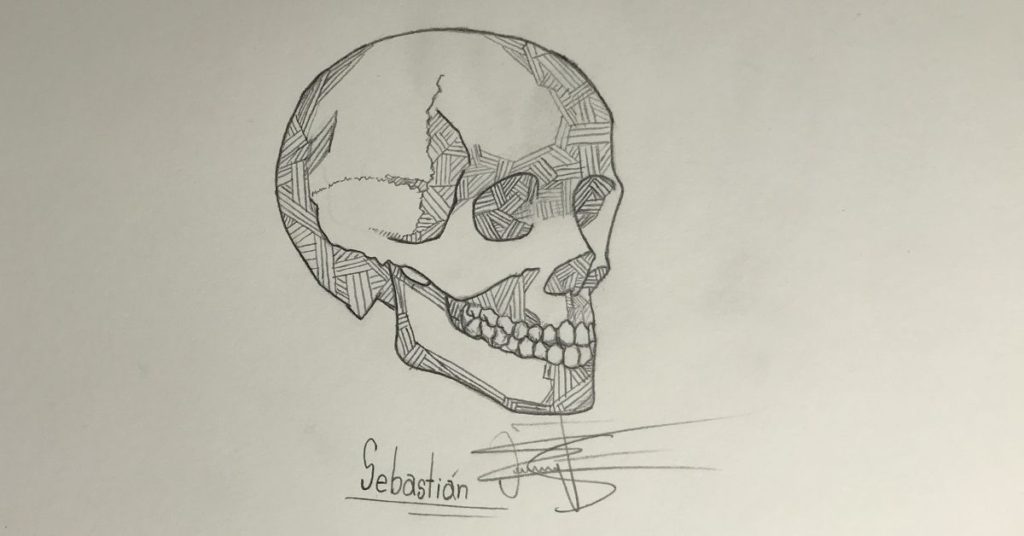 Drawing a detailed skull without copying