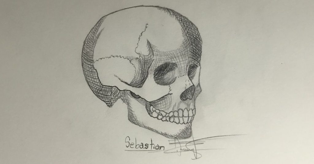 Countour hatching and crosshatching skull drawing