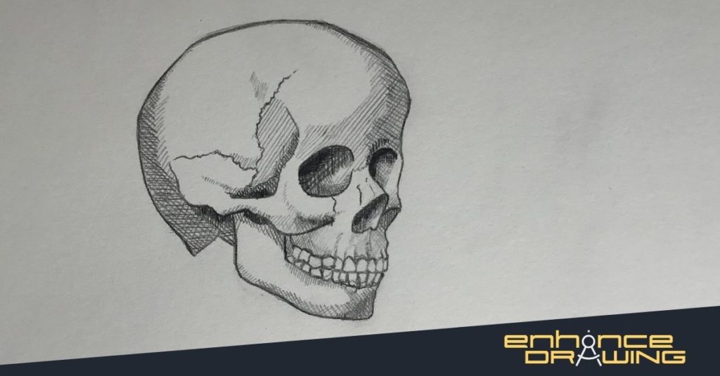 Crosshatched Skull Drawing