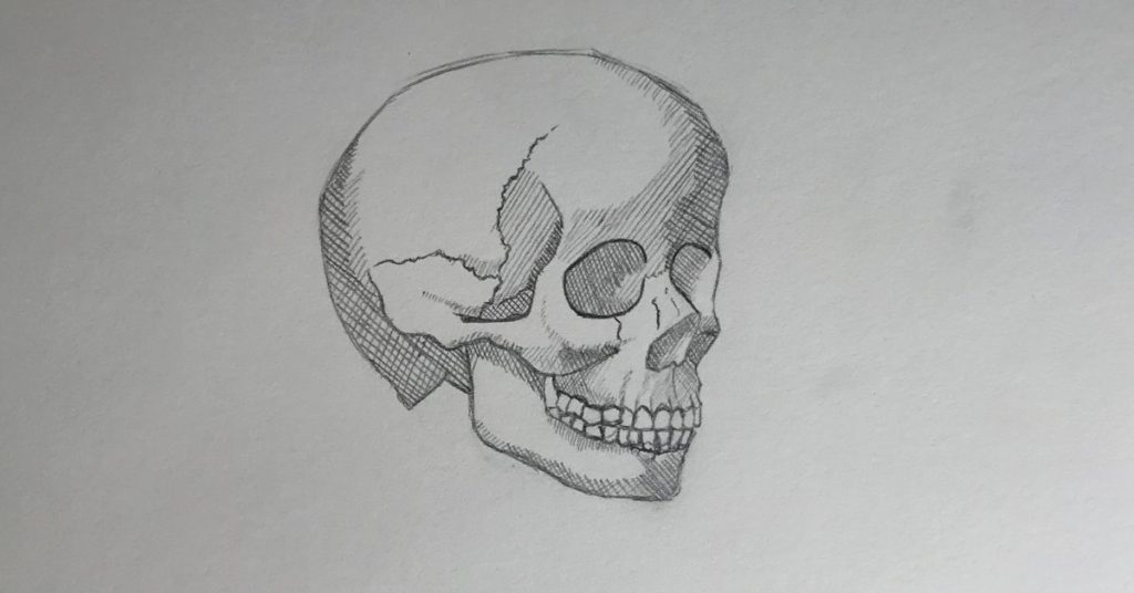 Crosshatching skull drawing