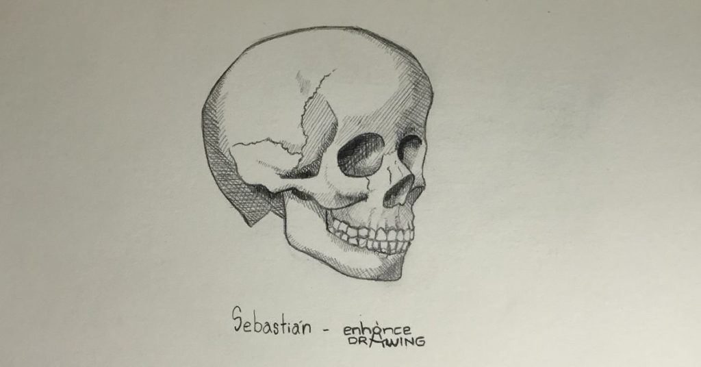 Fine crosshatching skull drawing