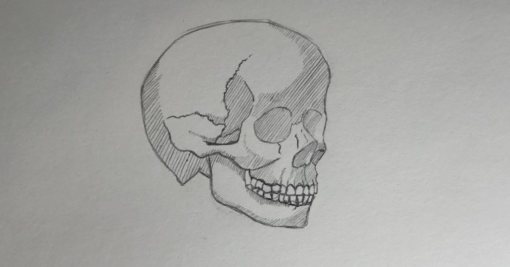Parallel hatching skull drawing