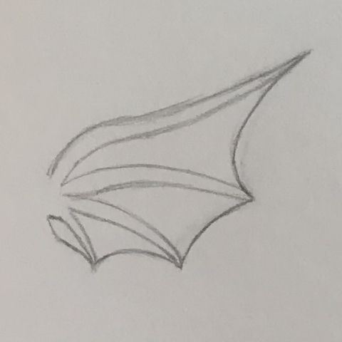 Step 3 to draw dragon elf ears