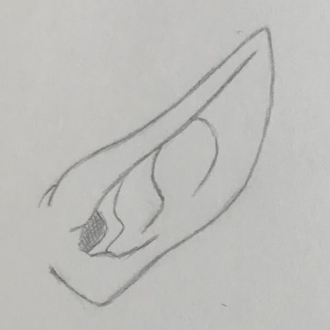 Step 4 to draw Vampire Elf Ears