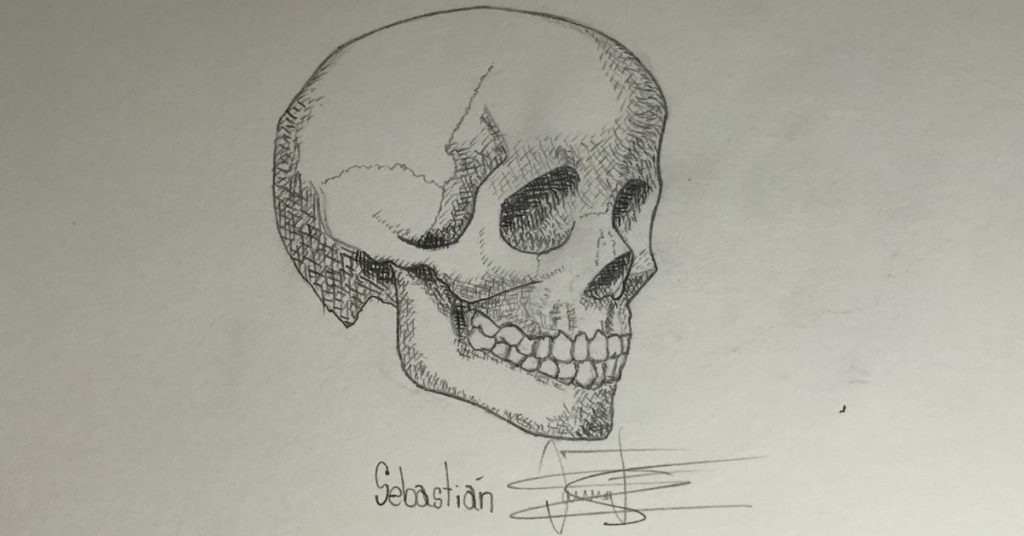 Tick hatching and crosshatching skull drawing