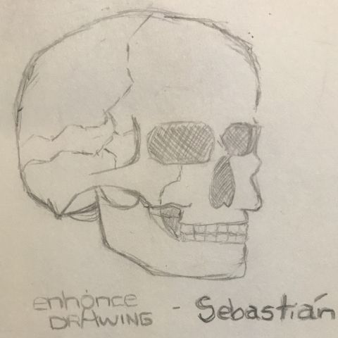 Sketched Skull