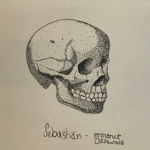 Drawing of a stippled skull