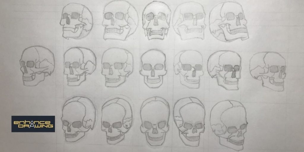 Drawing of many skulls in different perspectives
