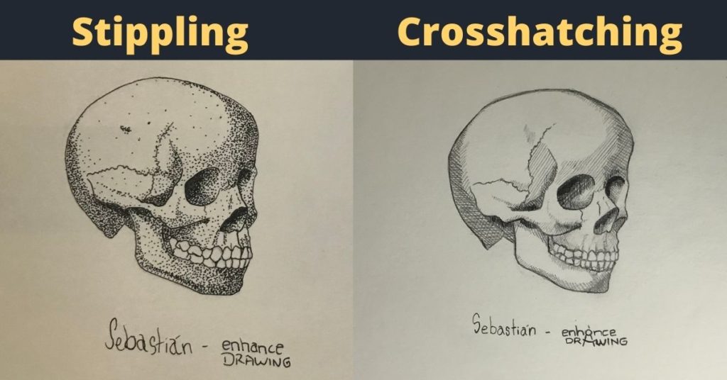 Stippling and crosshatching in a skull