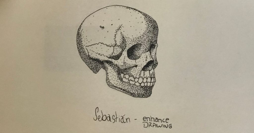Stippling example of a skull