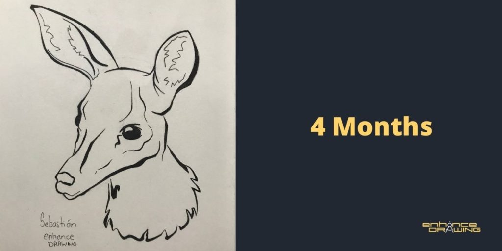 It takes four months to draw like a beginner artist