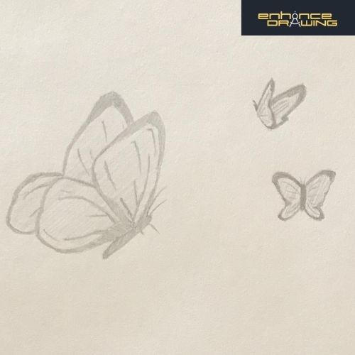 Anime Butterflies Drawing Ideas