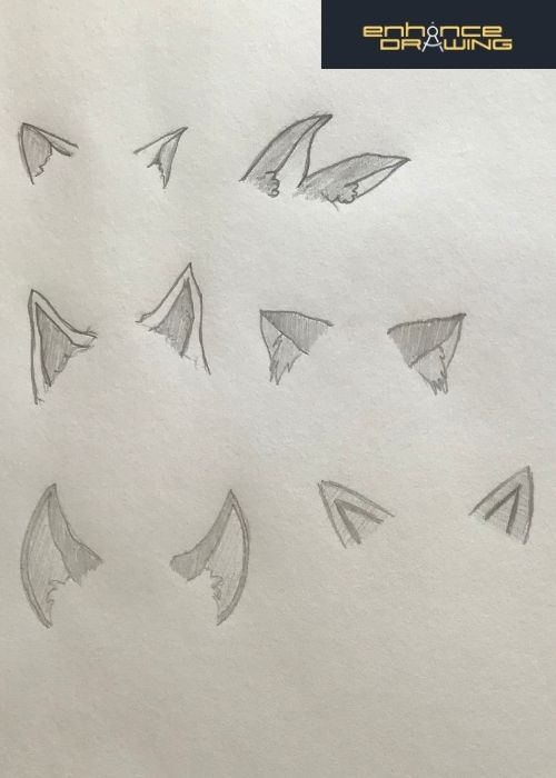 Anime Cat Ears Drawing Ideas