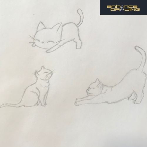 Anime Cats Drawing Ideas
