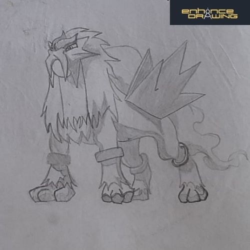 Anime Entei Drawing