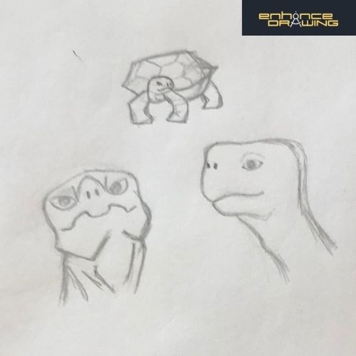 Anime Turtles Drawing Ideas