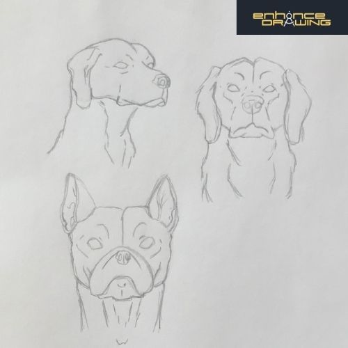 Anime dogs drawing ideas
