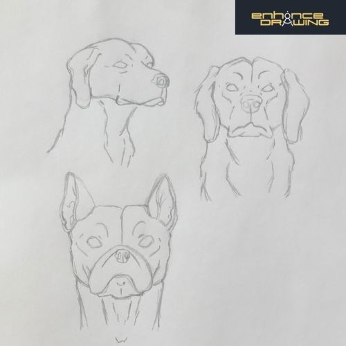 dogs drawings