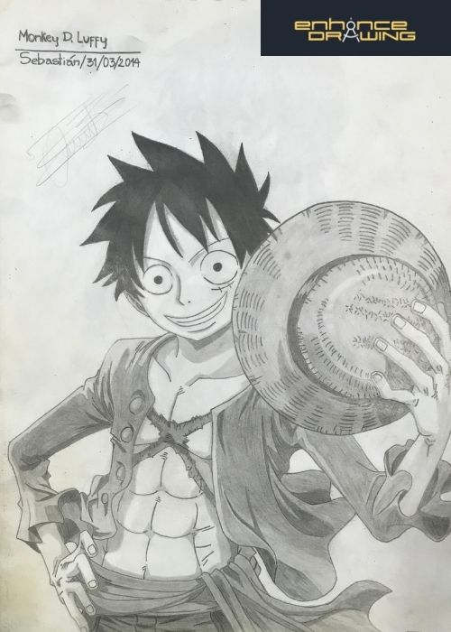 Luffy One Piece Anime Drawing
