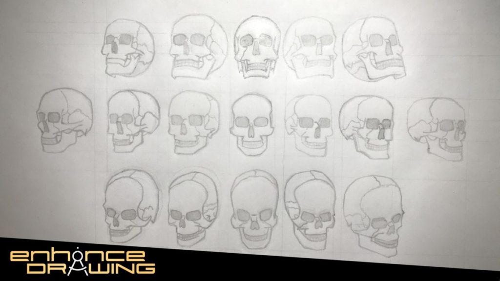 Skulls drawn from different angles