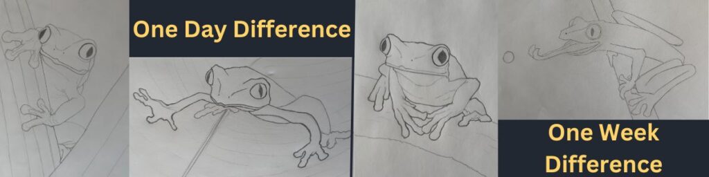 Drawing Comparison
